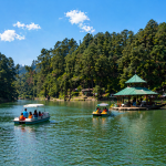 Homestay in Lansdowne