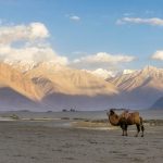 places to explore near Lansdowne