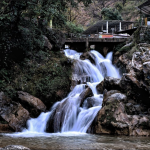 Lansdowne Mussoorie or Nainital